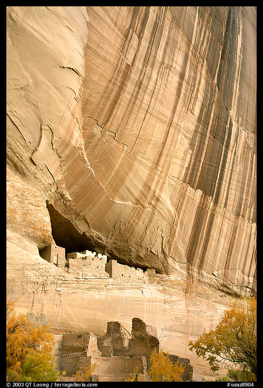 White House Anasazi ruins and wall with desert varnish. Canyon de Chelly  National Monument, Arizona, USA