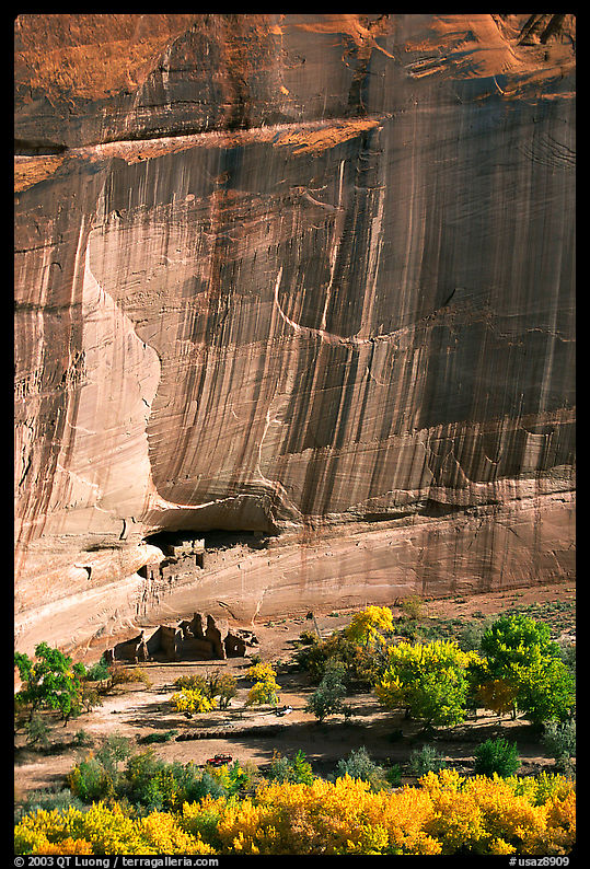 Floor of canyon with cottonwoods in fall colors and White House ruins. Canyon de Chelly  National Monument, Arizona, USA