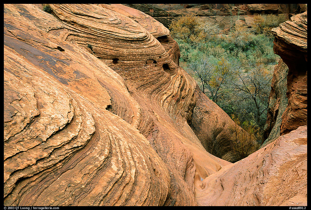 Sandstone Swirls. Canyon de Chelly  National Monument, Arizona, USA