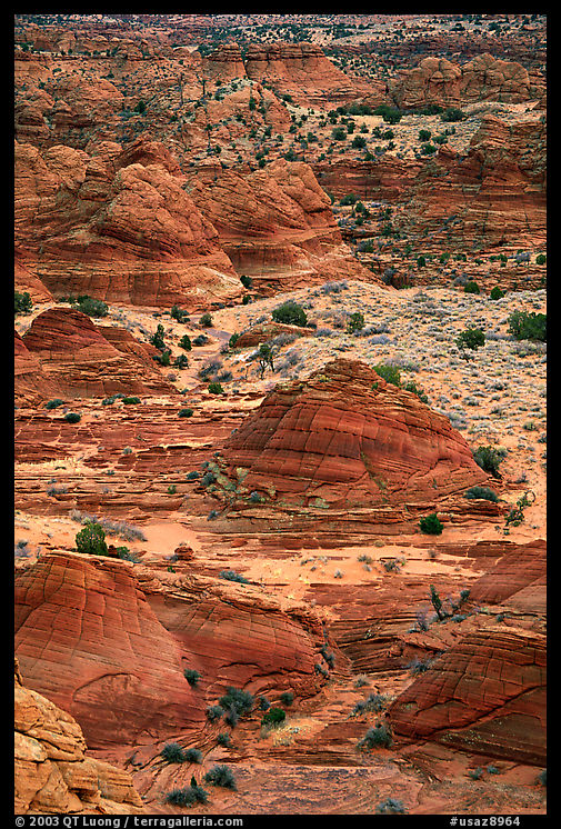 Sandstone mounds. Coyote Buttes, Vermilion cliffs National Monument, Arizona, USA