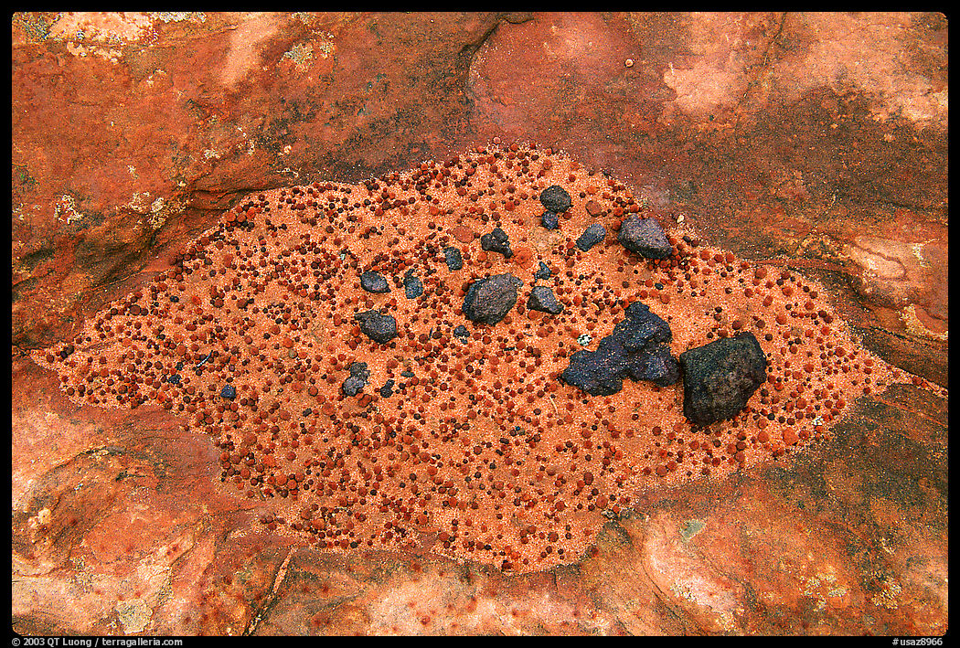 Close up of sandstone and volcanic rocks. Coyote Buttes, Vermilion cliffs National Monument, Arizona, USA