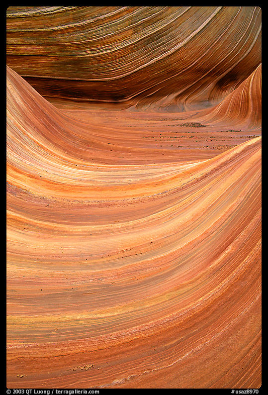 Ondulating sandstone stripes, The Wave. Coyote Buttes, Vermilion cliffs National Monument, Arizona, USA