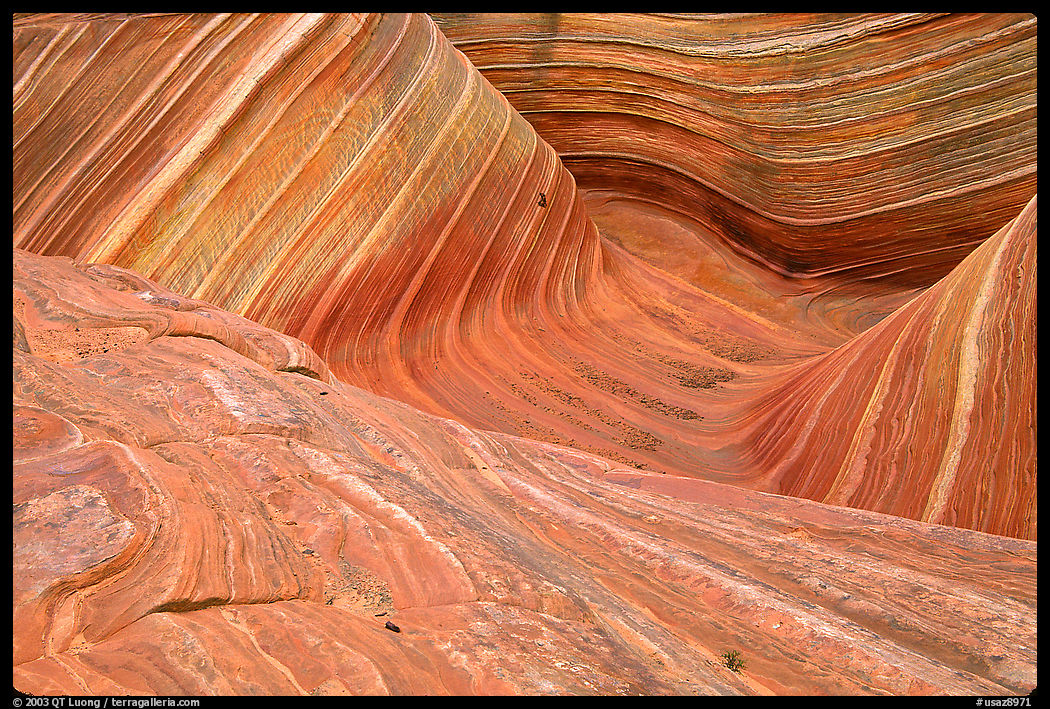 The Wave, main formation, seen from the top. Coyote Buttes, Vermilion cliffs National Monument, Arizona, USA