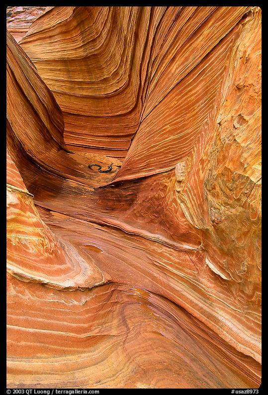 The Wave, side formation. Coyote Buttes, Vermilion cliffs National Monument, Arizona, USA