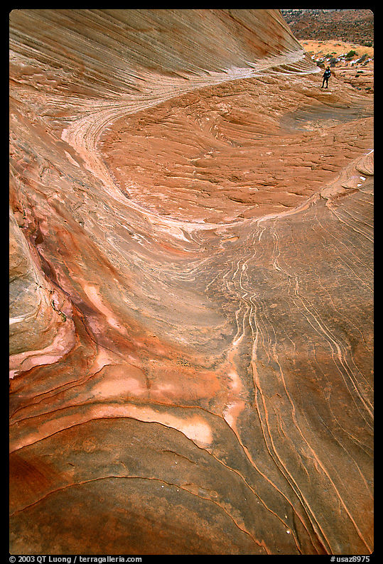 Hiker on rock on the way to the Wave. Coyote Buttes, Vermilion cliffs National Monument, Arizona, USA
