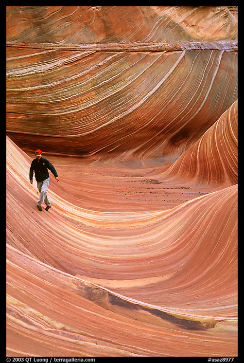 Hiker balances himself in the Wave. Coyote Buttes, Vermilion cliffs National Monument, Arizona, USA