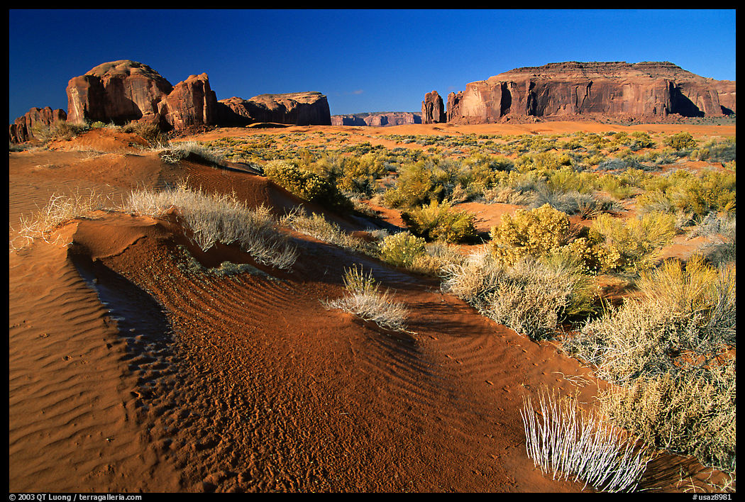 Sand dune and mesas, late afternoon. Monument Valley Tribal Park, Navajo Nation, Arizona and Utah, USA