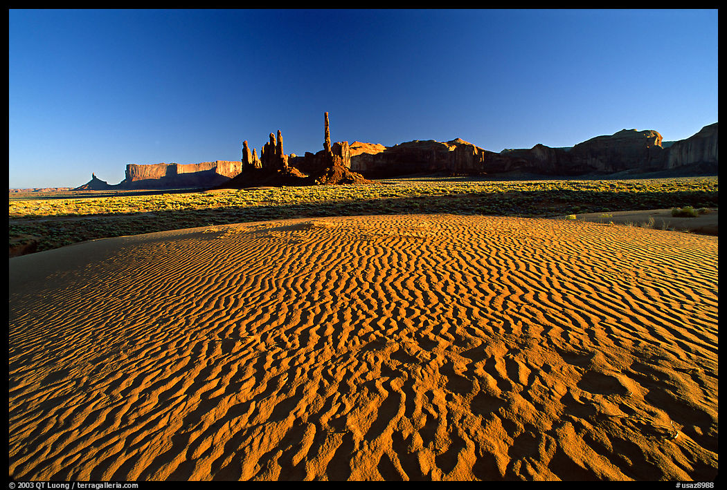 Sand dunes, Yei bi Chei, and Totem Pole, late afternoon. Monument Valley Tribal Park, Navajo Nation, Arizona and Utah, USA