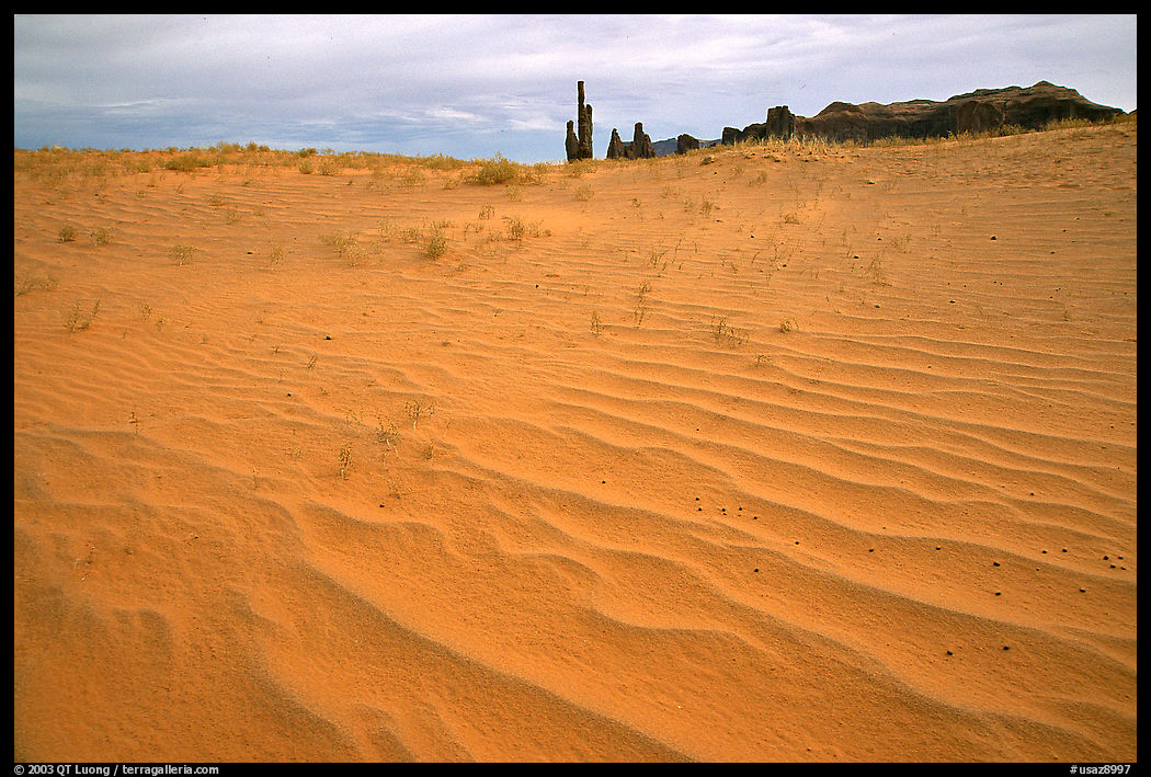Pink sand and Yei bi Chei. Monument Valley Tribal Park, Navajo Nation, Arizona and Utah, USA