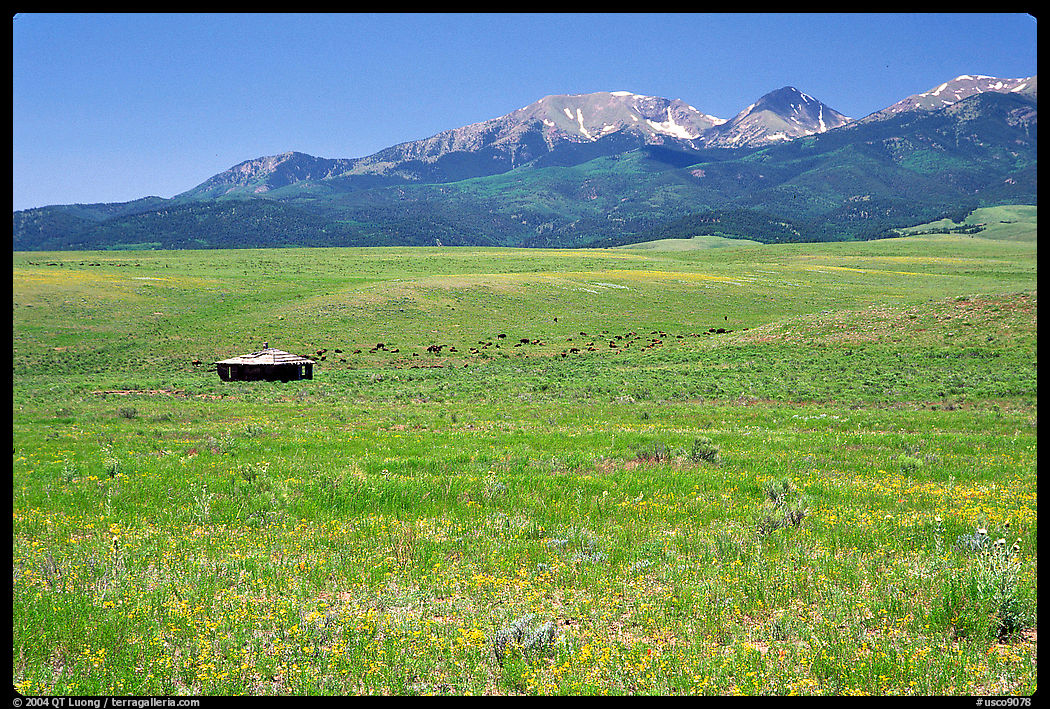 Meadow, Sangre de Cristo range. Colorado, USA