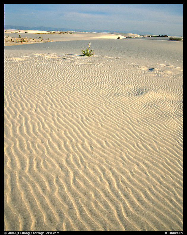 Ripples in sand dunes, White Sands National Monument. New Mexico, USA