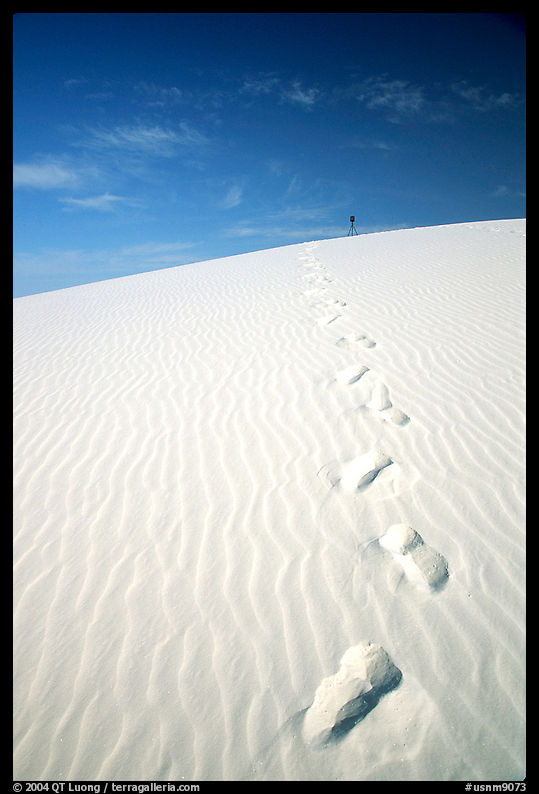 Footprints,  White Sands National Monument. New Mexico, USA