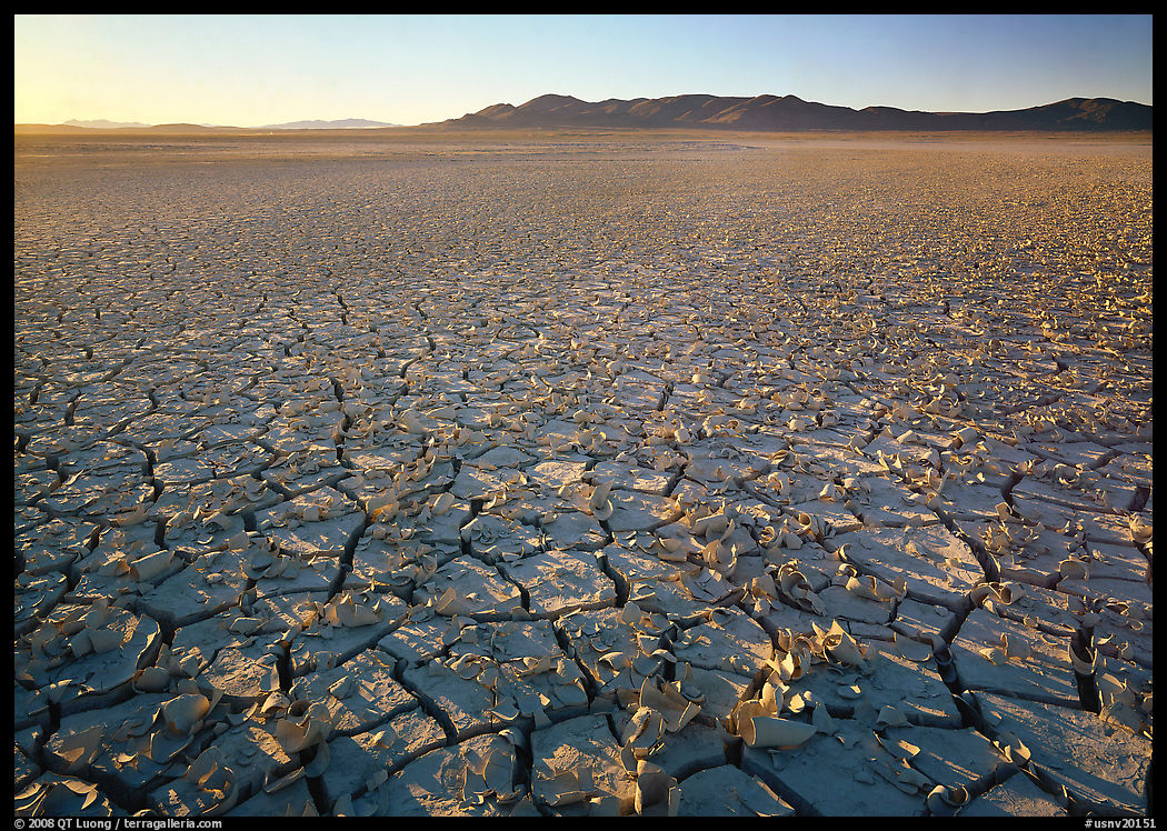 Peeling dried mud, sunrise, Black Rock Desert. Black Rock Desert, Nevada, USA