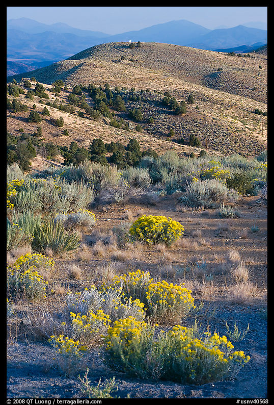 Sagebrush and hills, Virginia City, Nevada. Virginia City, Nevada, USA