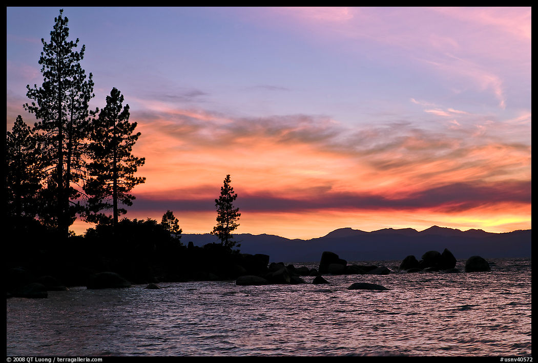 Shoreline with pine trees and rocks, Sand Harbor, East Shore, Lake Tahoe, Nevada. USA