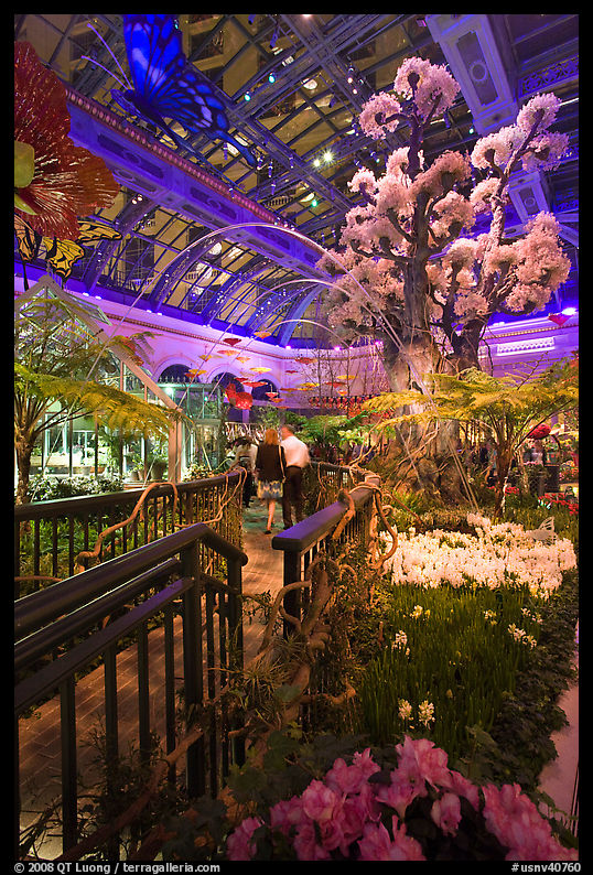 Botanical garden and conservatory with purple light, Bellagio Casino. Las Vegas, Nevada, USA