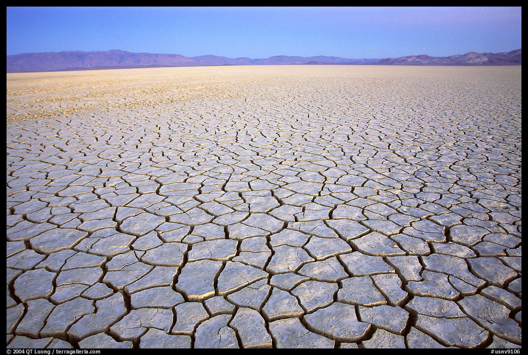 Playa with mud cracks, dawn. Black Rock Desert, Nevada, USA
