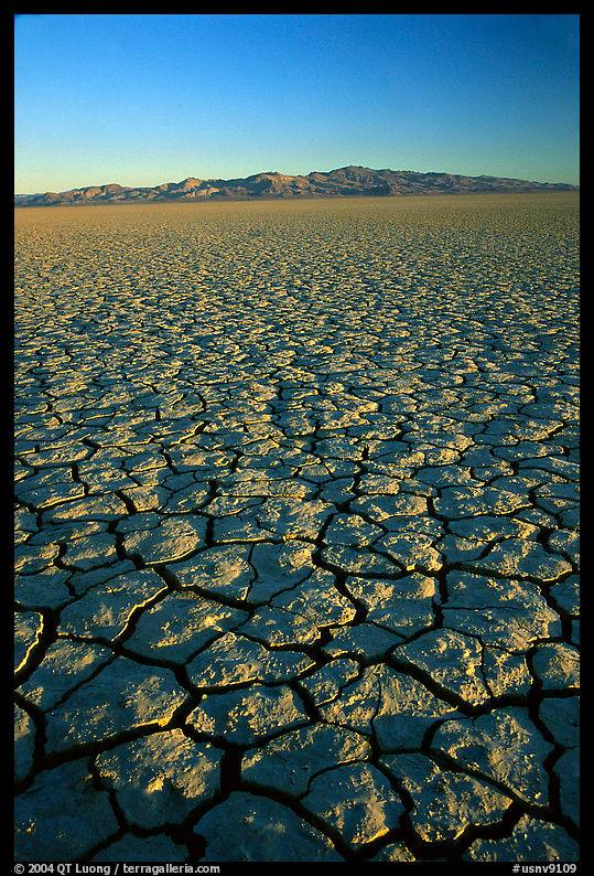 Dry Lakebed  with cracked dried mud, sunrise. Black Rock Desert, Nevada, USA