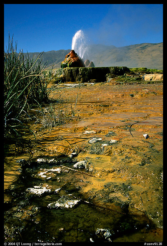 Fly Geyser, Black Rock Desert. Nevada, USA