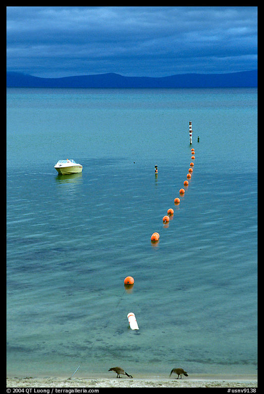 Buoy line and boat,  sunset, Lake Tahoe. California and Nevada, USA