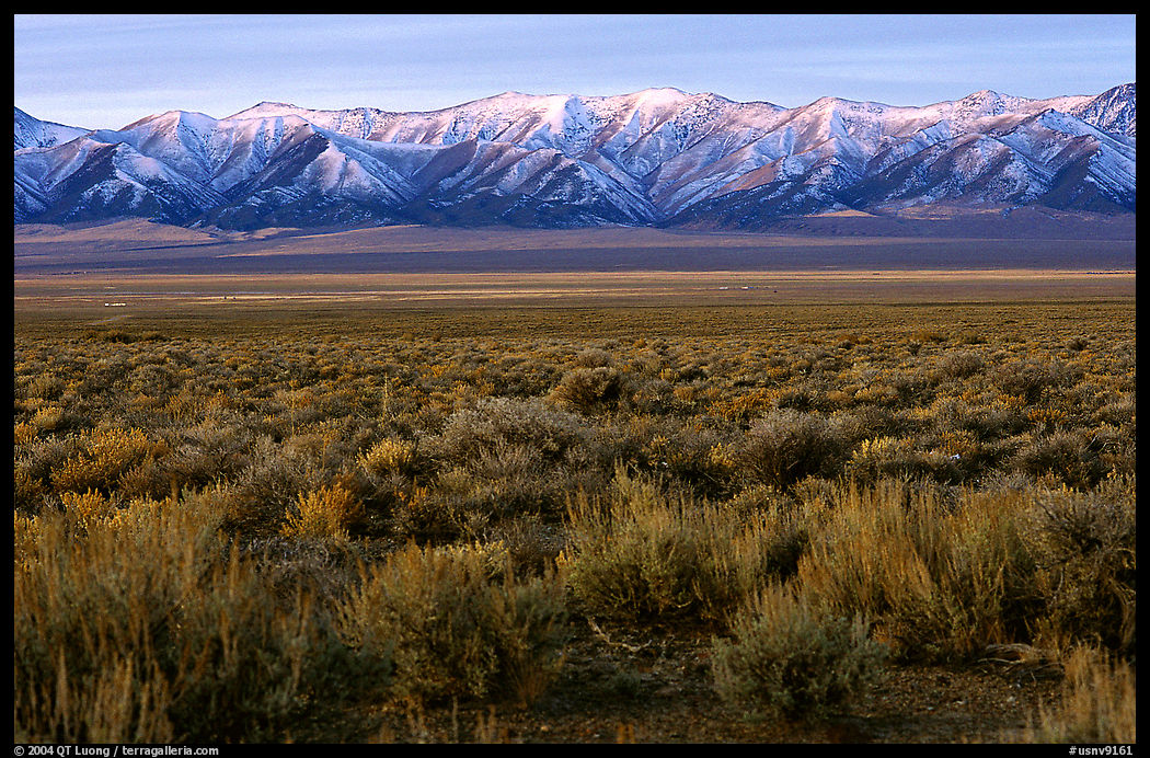 Sagebrush and mountain range. Nevada, USA