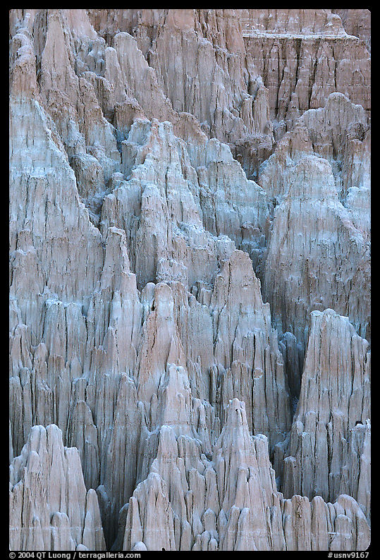 Shale and mudstone eroded in fantastic shapes, Cathedral Gorge State Park. Nevada, USA