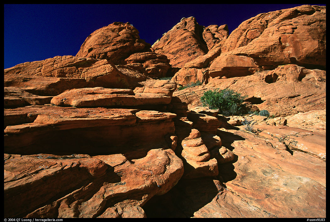 Red sandstone formations, Red Rock Canyon. Red Rock Canyon, Nevada, USA