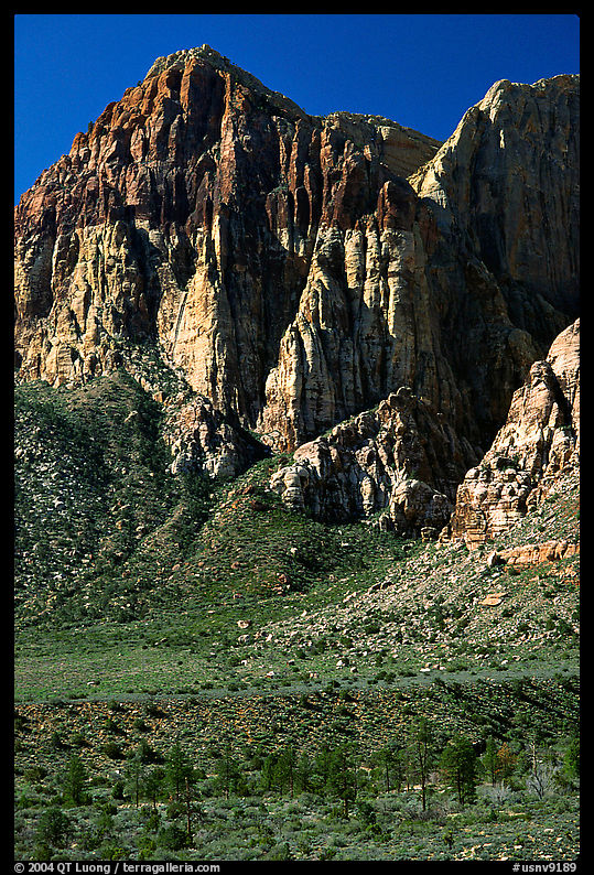 Tall cliffs. Red Rock Canyon, Nevada, USA