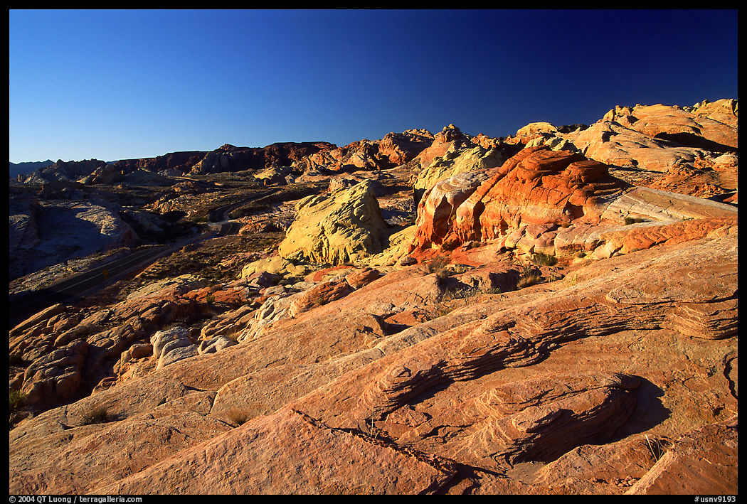Colorful sandstone formations, early morning, Valley of Fire State Park. Nevada, USA
