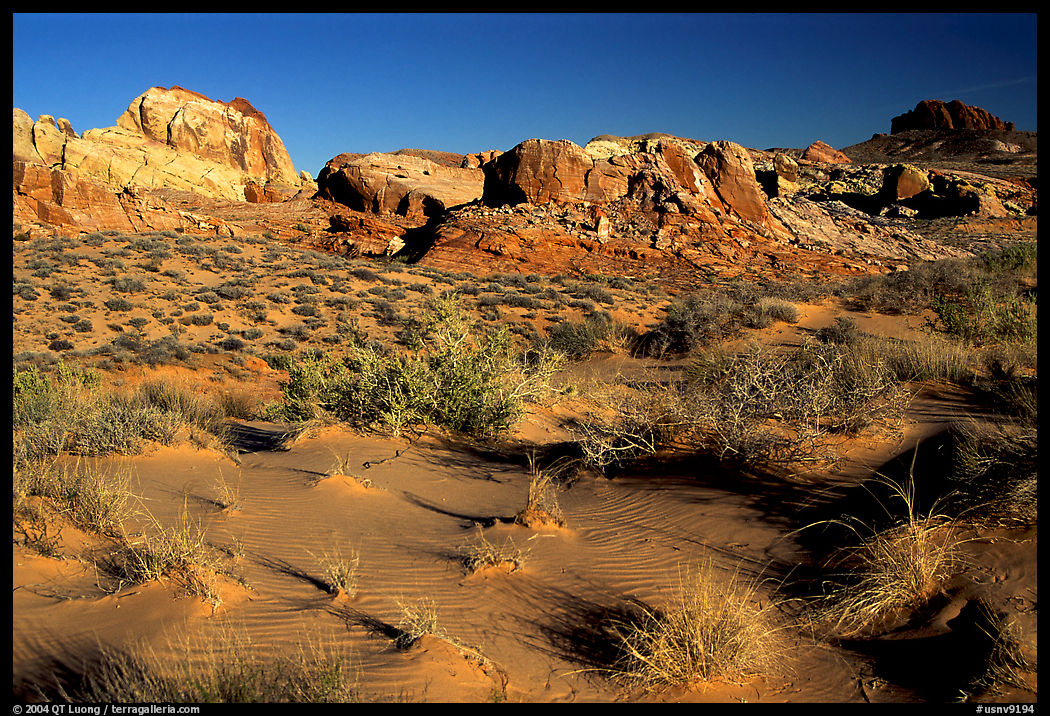 Sand ripples and rock formations, Valley of Fire State Park. Nevada, USA