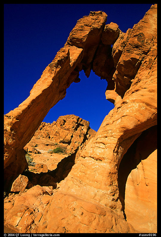 Elephant-shaped rock, Valley of Fire State Park. Nevada, USA