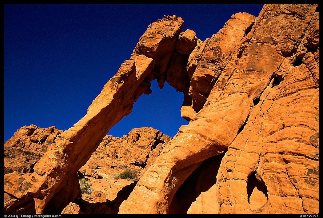Elephant-shaped rock, Valley of Fire State Park. Nevada, USA