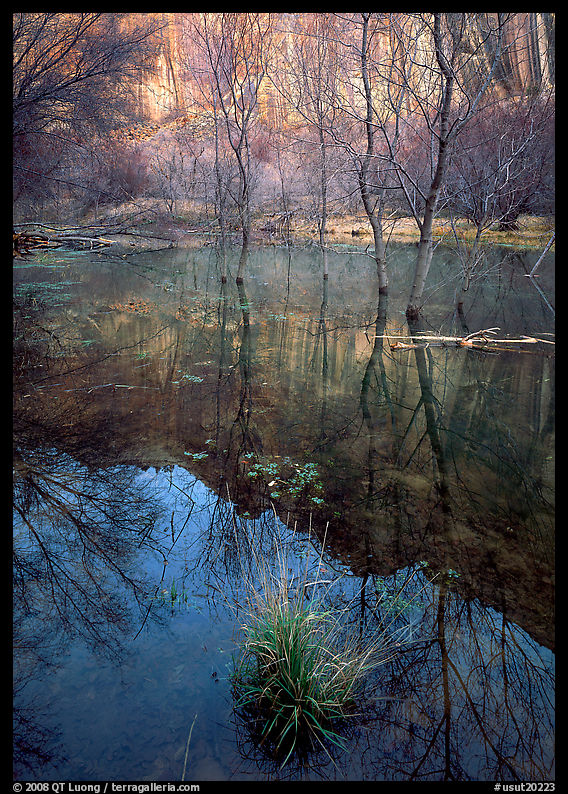 Calf Creek Canyon and reflexions. Utah, USA