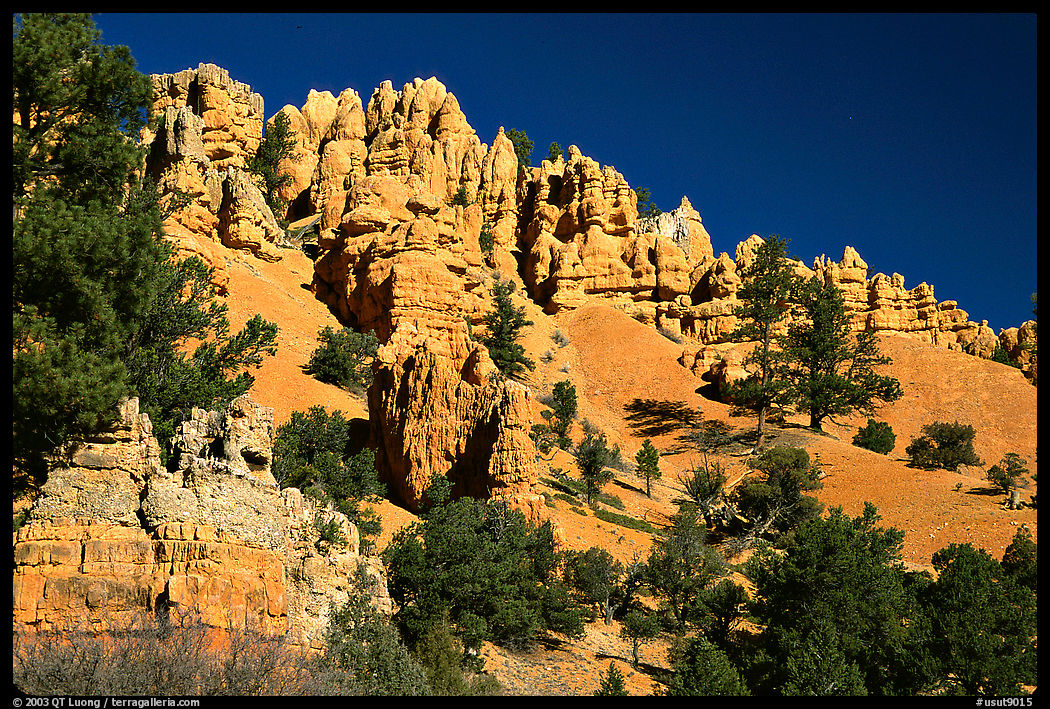 Hoodoos, Red Canyon, Dixie National Forest. Utah, USA