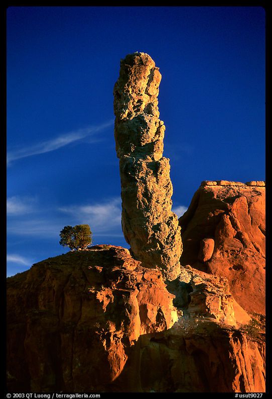 Sand Pipes (rock column), sunset, Kodachrome Basin State Park. Utah, USA