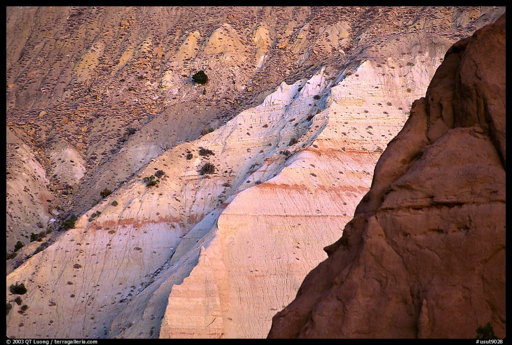 Multicolored cliffs of Entrada sandstone, Kodachrome Basin State Park. Utah, USA