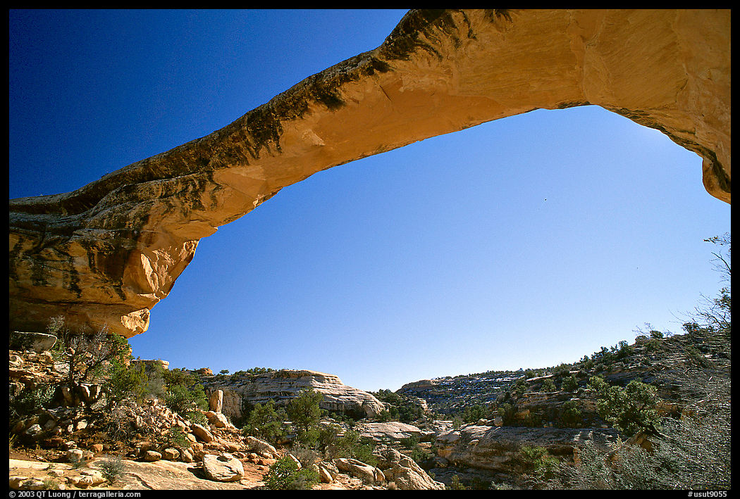Owachomo Bridge, Natural Bridges National Monument. Utah, USA