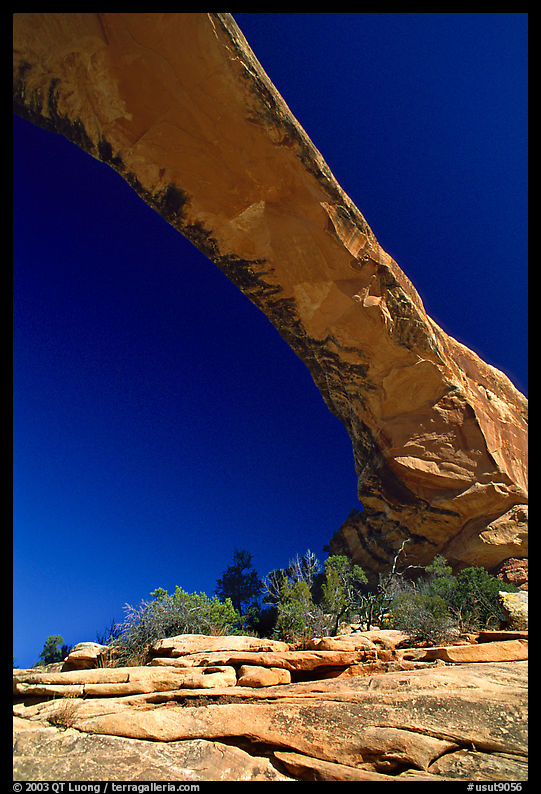 Owachomo Bridge, Natural Bridges National Monument. Utah, USA