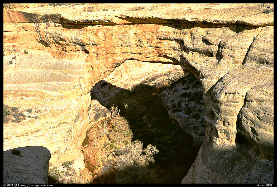 Sipapu Bridge, Natural Bridges National Monument. Utah, USA