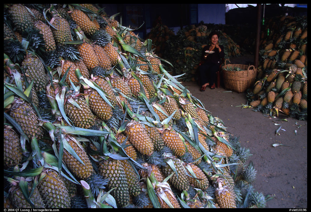 Loads of pinaaples. Ho Chi Minh City , Vietnam
