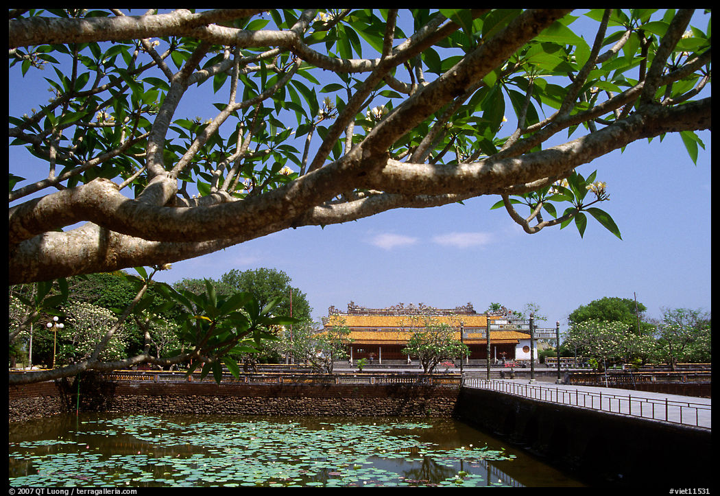 Thai Hoa palace (palace of supreme peace), citadel. Hue, Vietnam