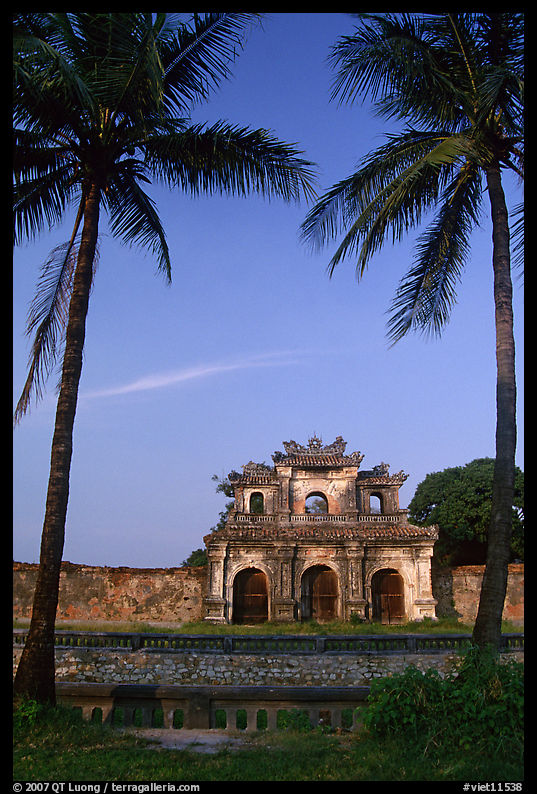 Palm trees and gate, Hue citadel. Hue, Vietnam