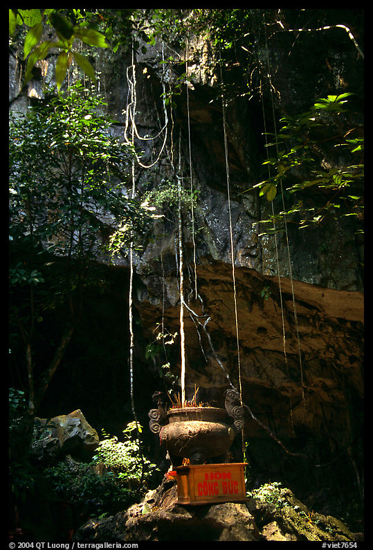 Urn and lianas near the entrance of upper cave, Phong Nha Cave. Vietnam