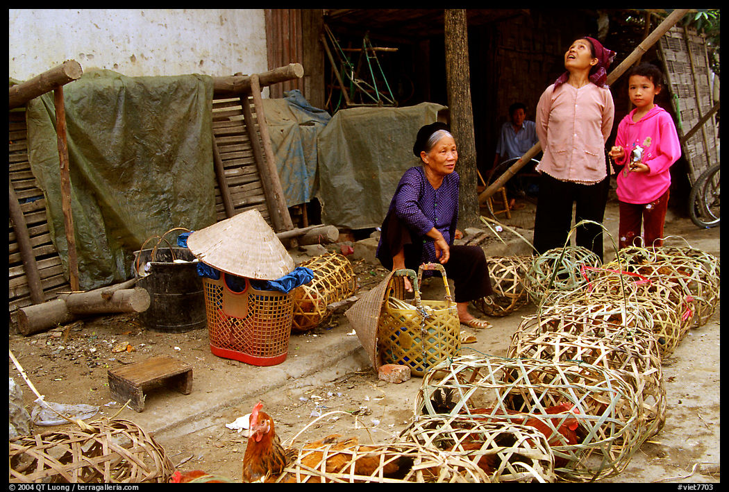 Live poultry for sale, That Khe market. Northest Vietnam