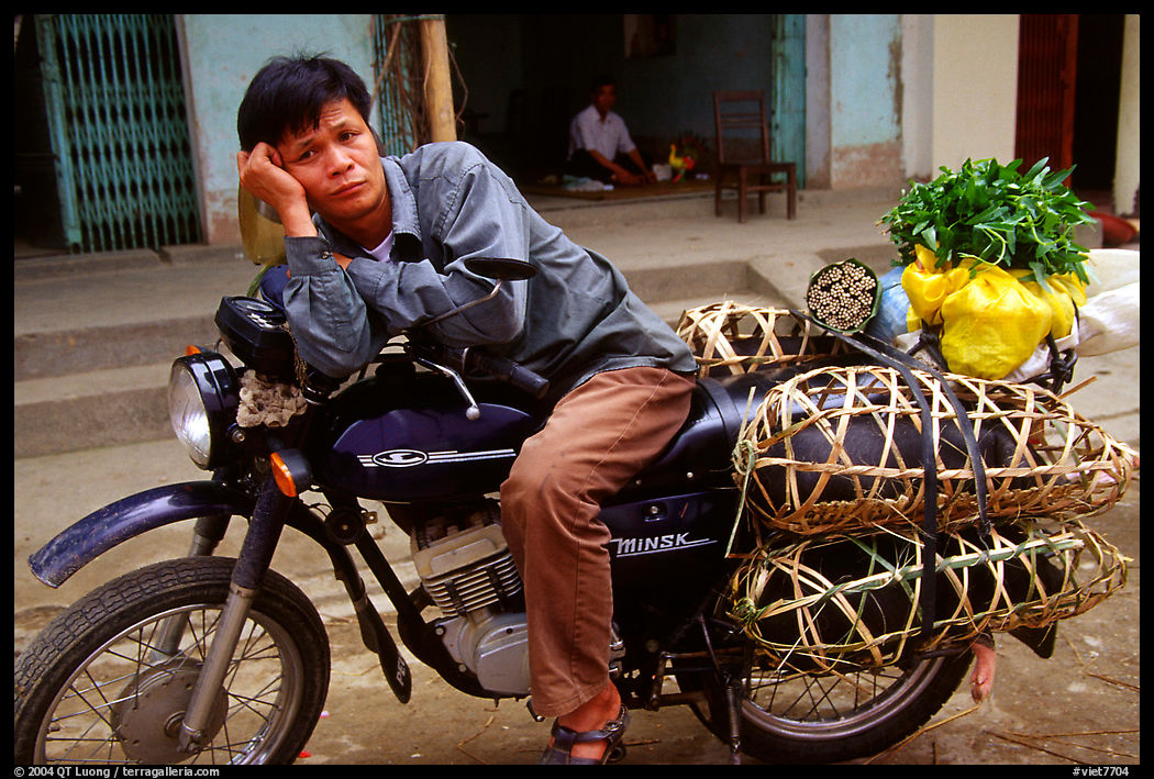 Man on a Russian-made Minsk loaded with live pigs. Northest Vietnam