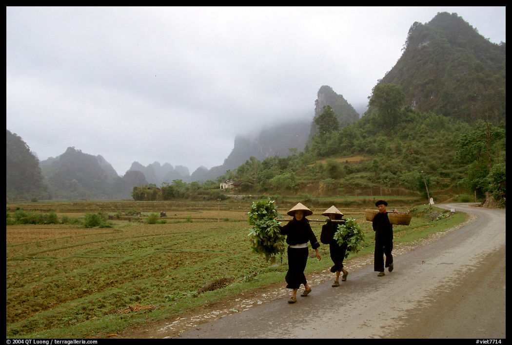 Villagers walking down the road with limestone peaks in the background, Ma Phuoc Pass area. Northeast Vietnam