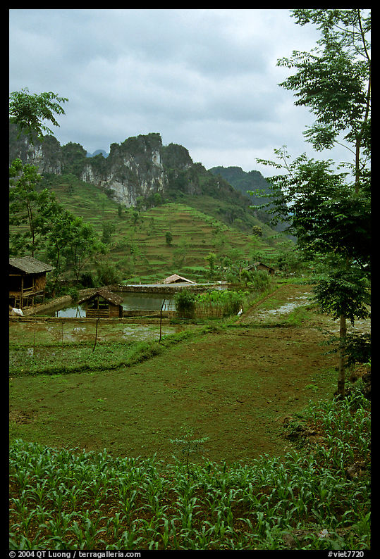 Cultures, homes, and peaks, Ma Phuoc Pass area. Northeast Vietnam