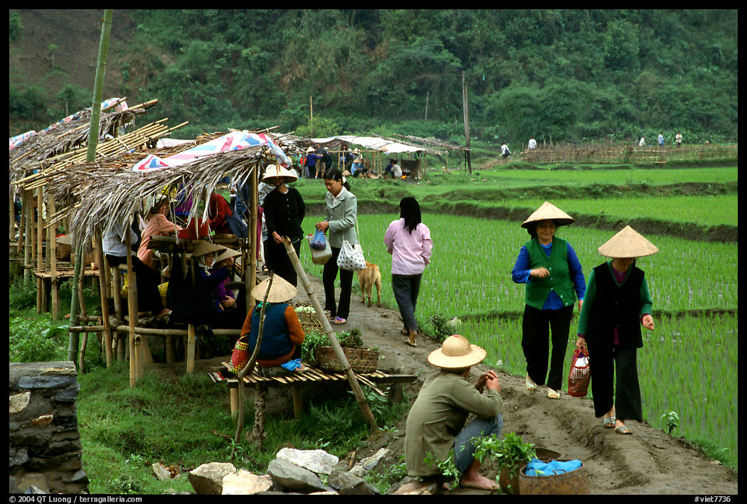 Market set on a dyke amongst rice fields near Ba Be Lake. Northeast Vietnam