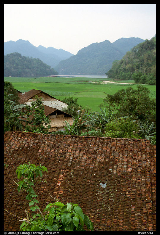 Thatched Roofs of Pac Ngoi village and fields. Northeast Vietnam