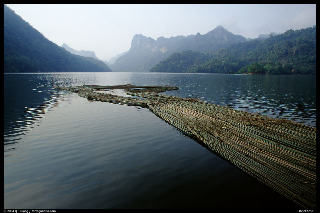 Wood being floated on Ba Be Lake. Northeast Vietnam
